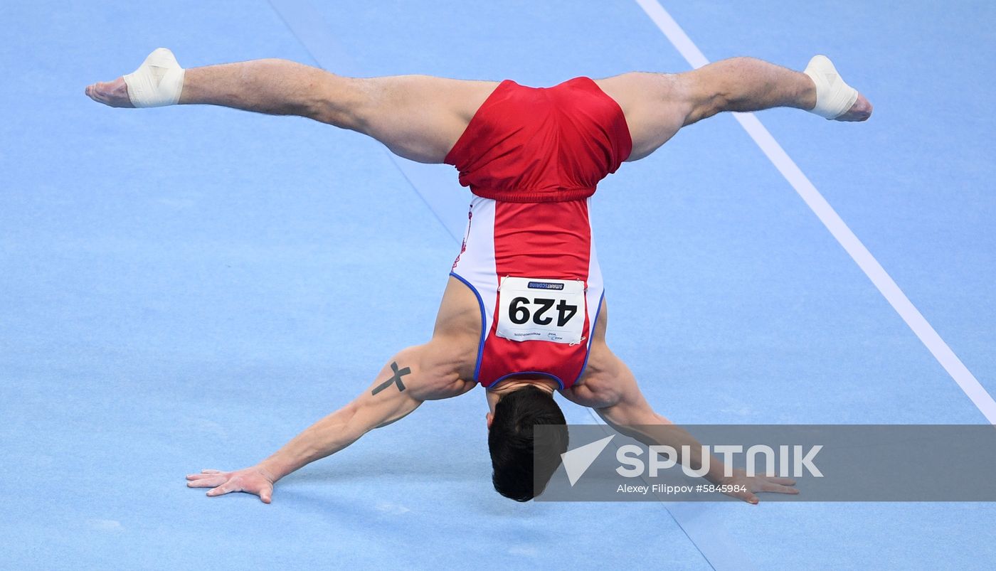 Poland European Artistic Gymnastics Championships