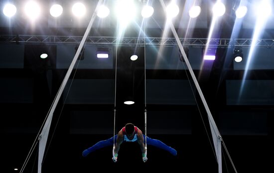 Poland European Artistic Gymnastics Championships Men