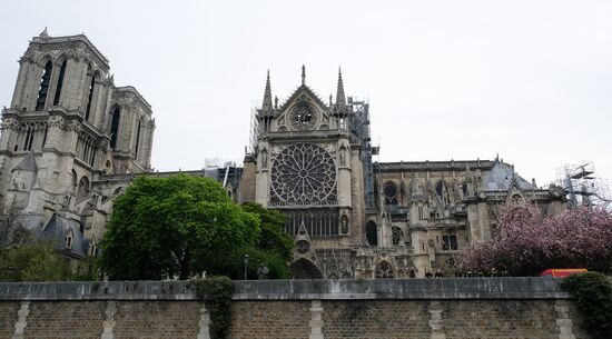 France Notre Dame Cathedral Fire