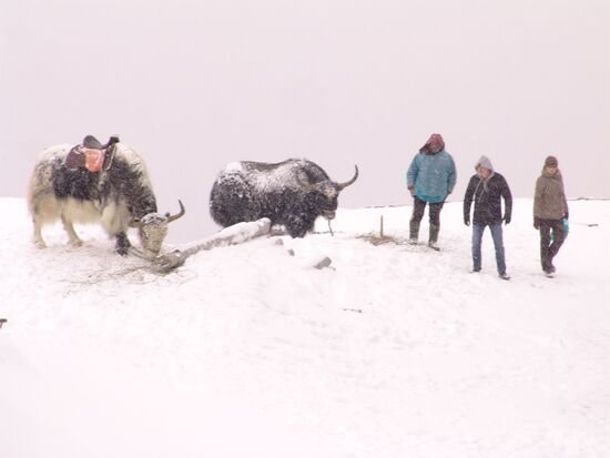 Near Elbrus