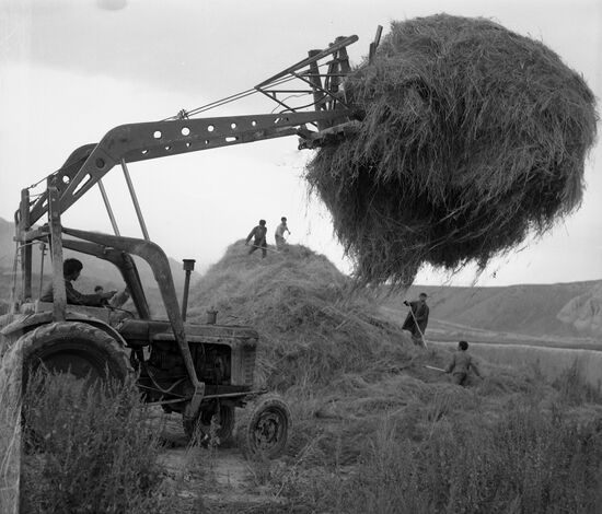 Lenin collective farm in Kirgizia