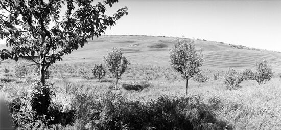 Red October collective farm