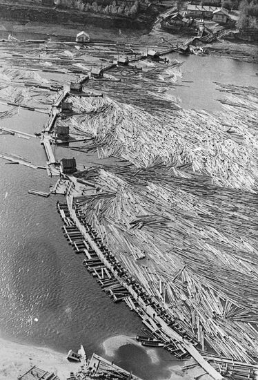 Logs drifting downstream