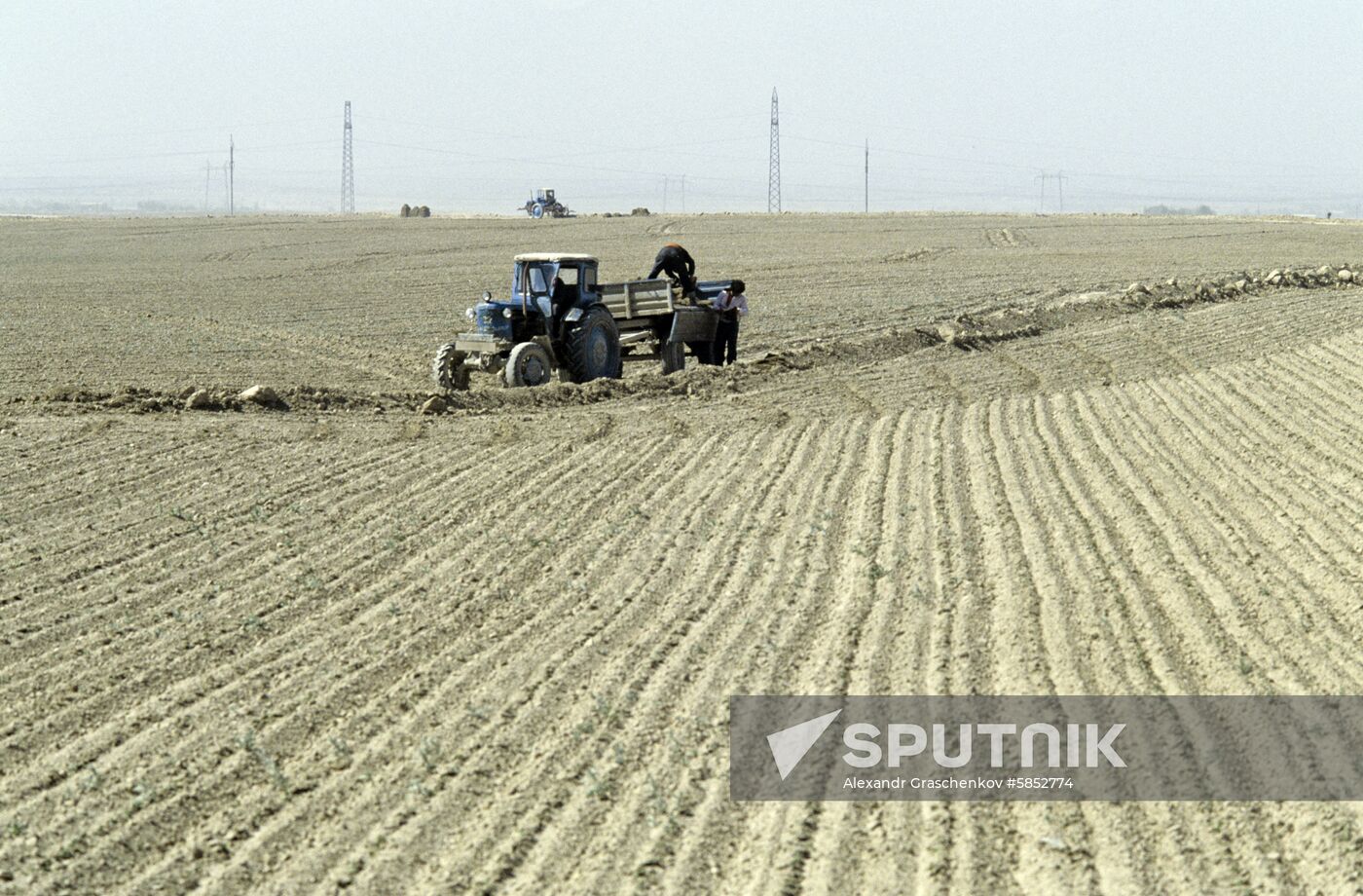 Lenin collective farm in Leninabad Region