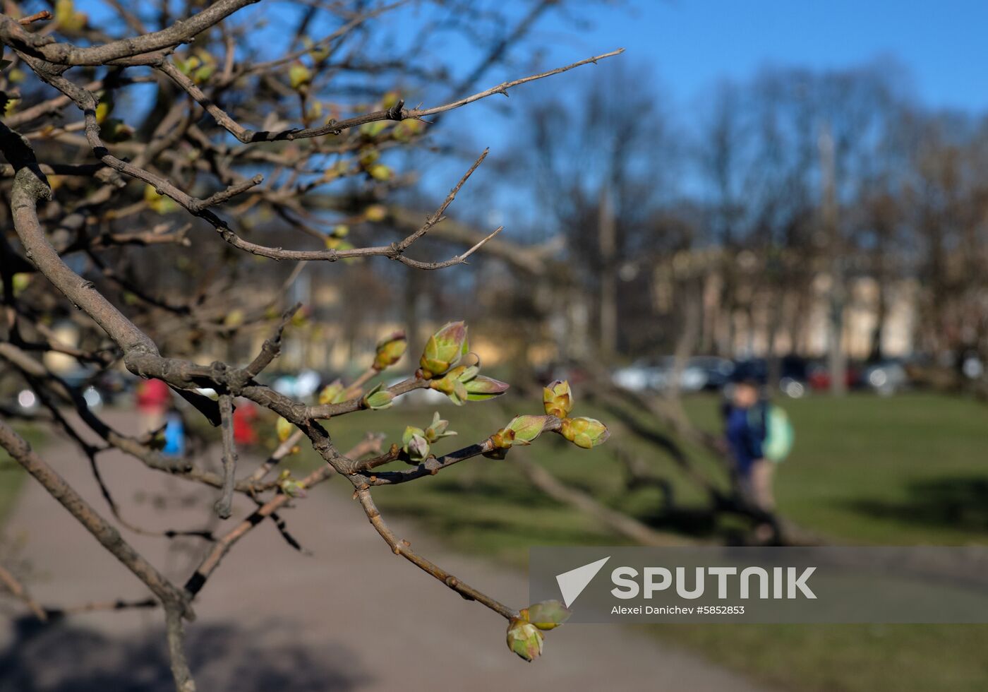 Cities of Russia. St. Petersburg