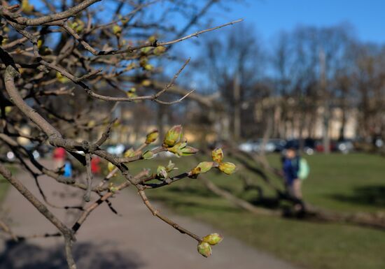 Cities of Russia. St. Petersburg