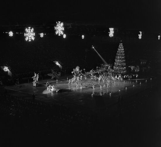 New Year party at Luzhniki Sports Palace