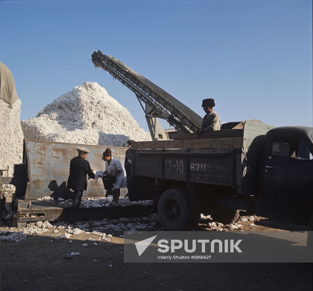 Cotton-dehulling plant in Azerbaijan