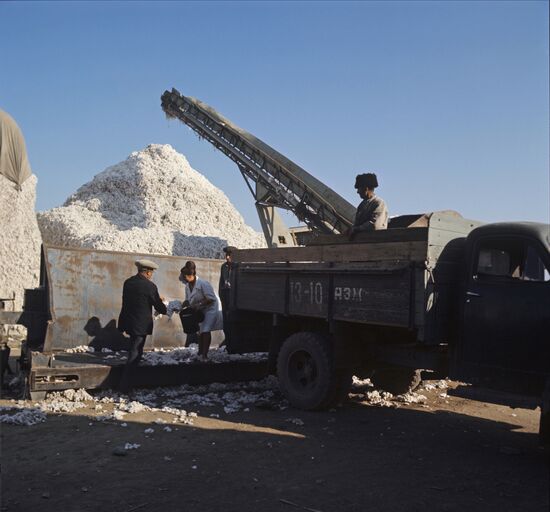 Cotton-dehulling plant in Azerbaijan