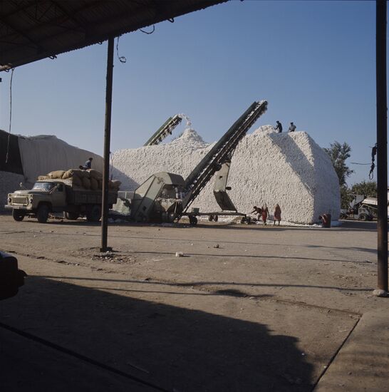 Cotton-dehulling plant in Azerbaijan