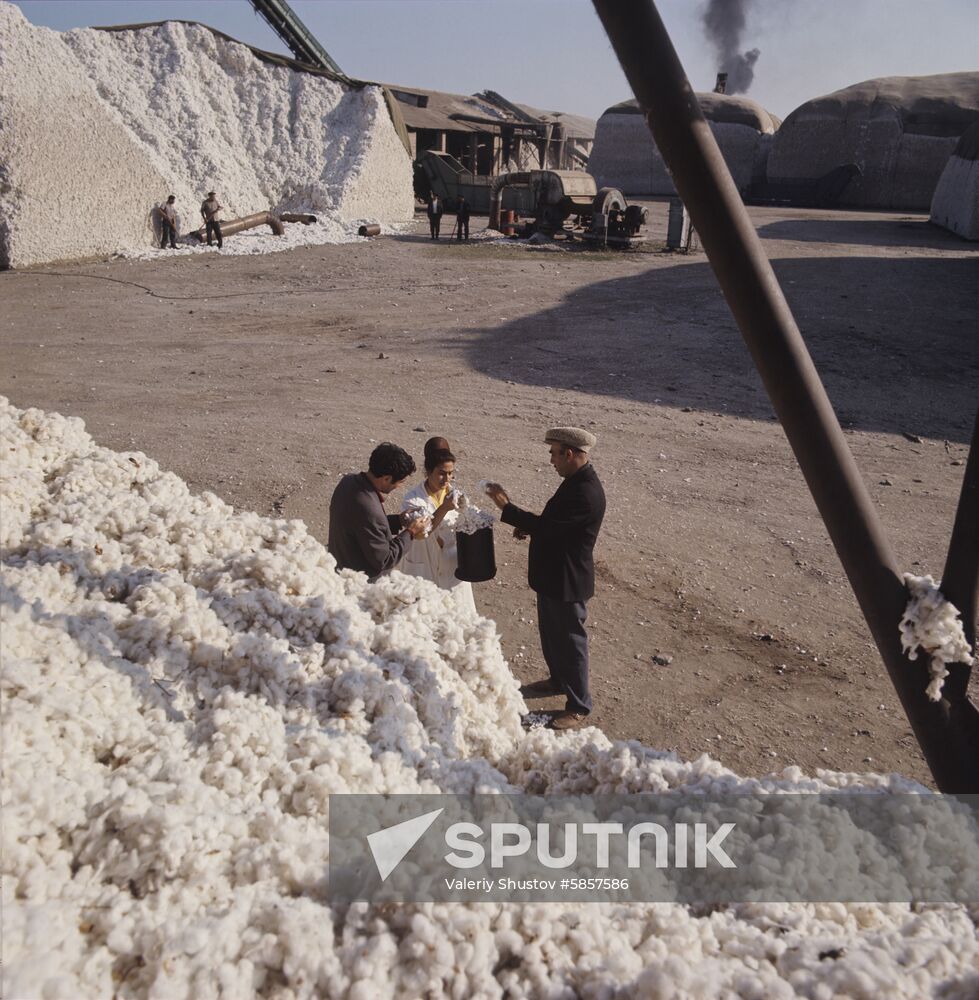 Cotton-dehulling plant in Azerbaijan