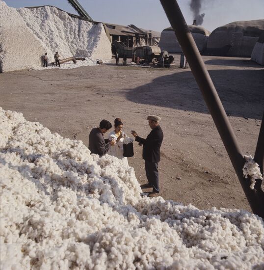 Cotton-dehulling plant in Azerbaijan