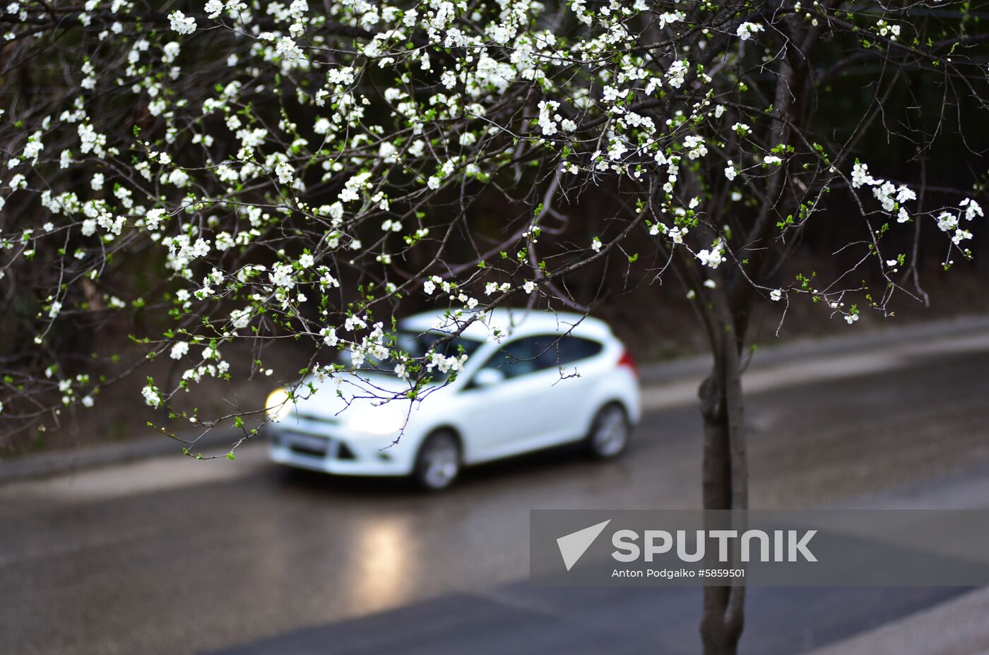 Russia Spring