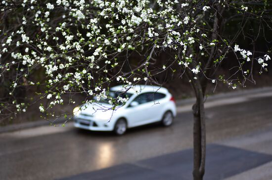 Russia Spring