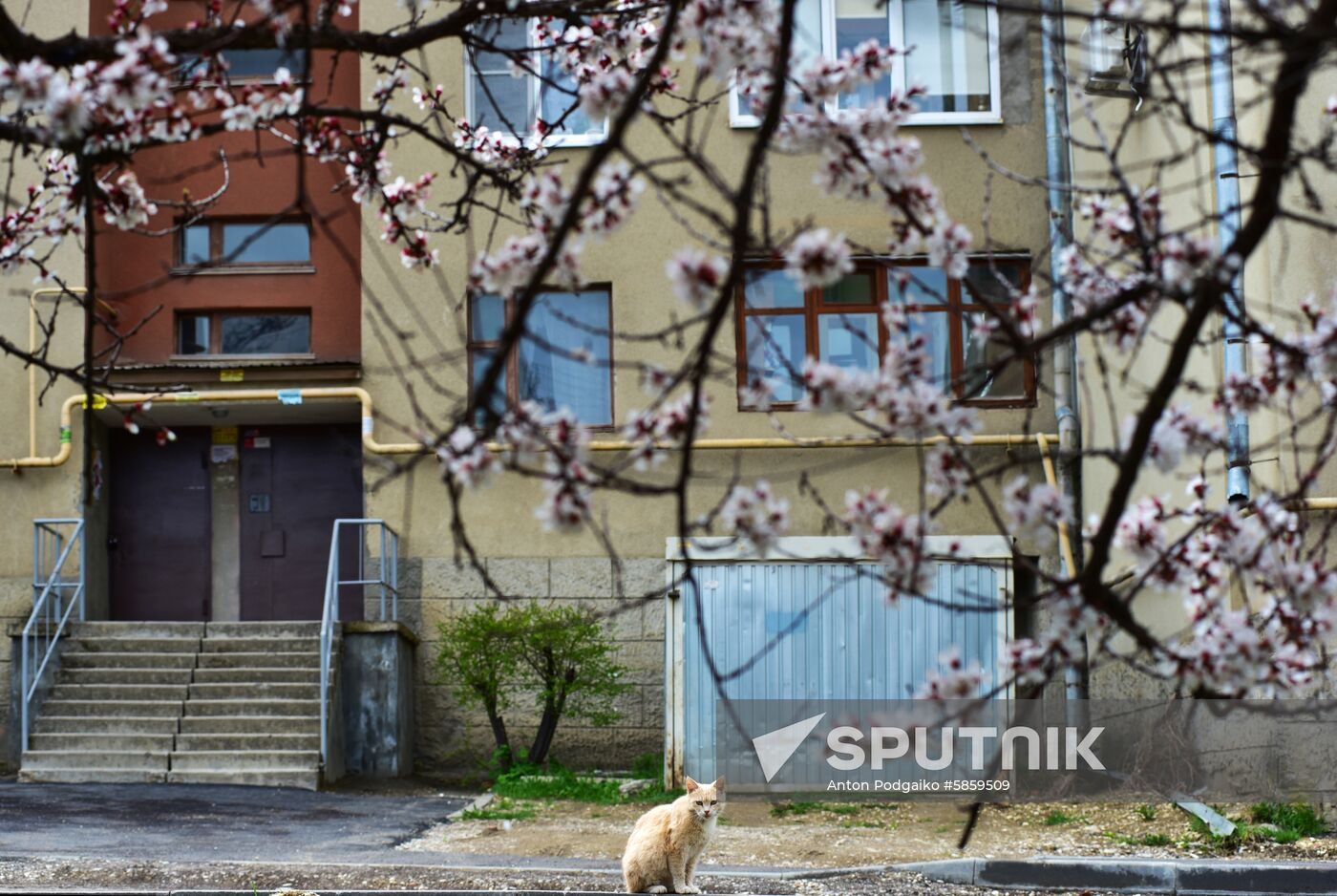 Russia Spring
