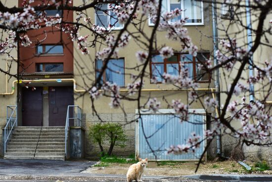 Russia Spring