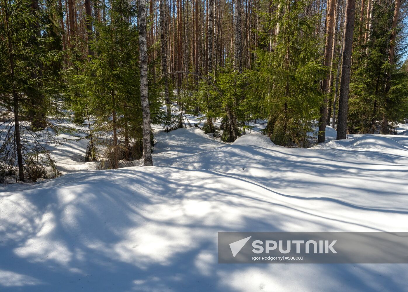 Russia Karelia Spring