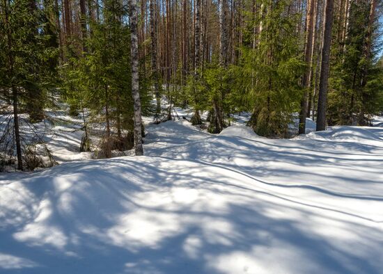 Russia Karelia Spring