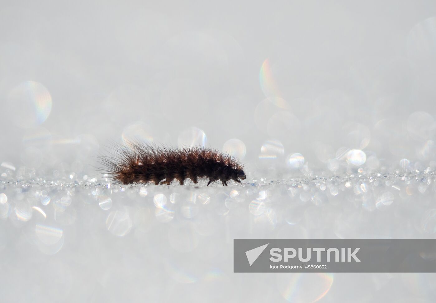 Russia Karelia Spring