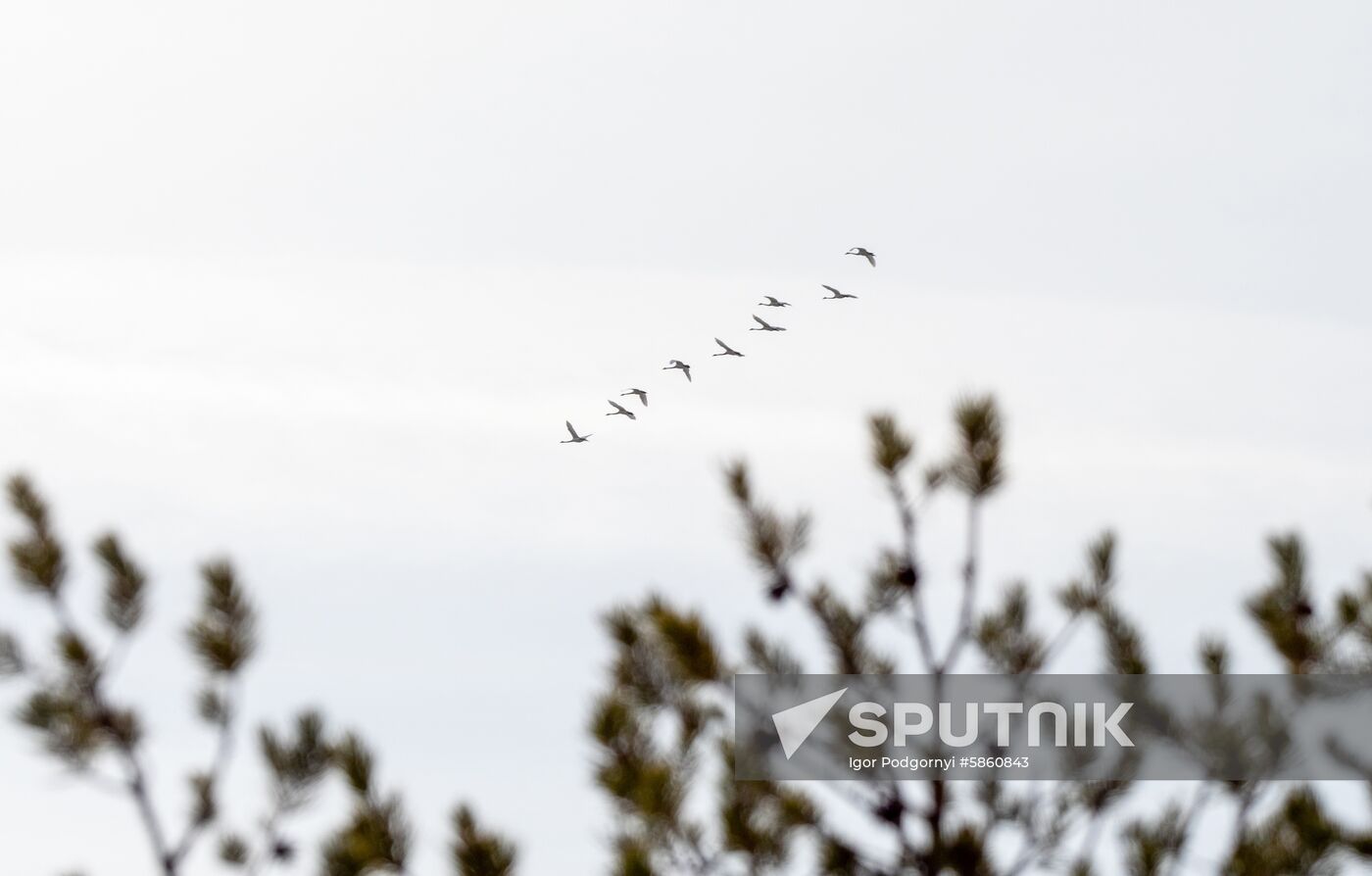 Russia Karelia Spring