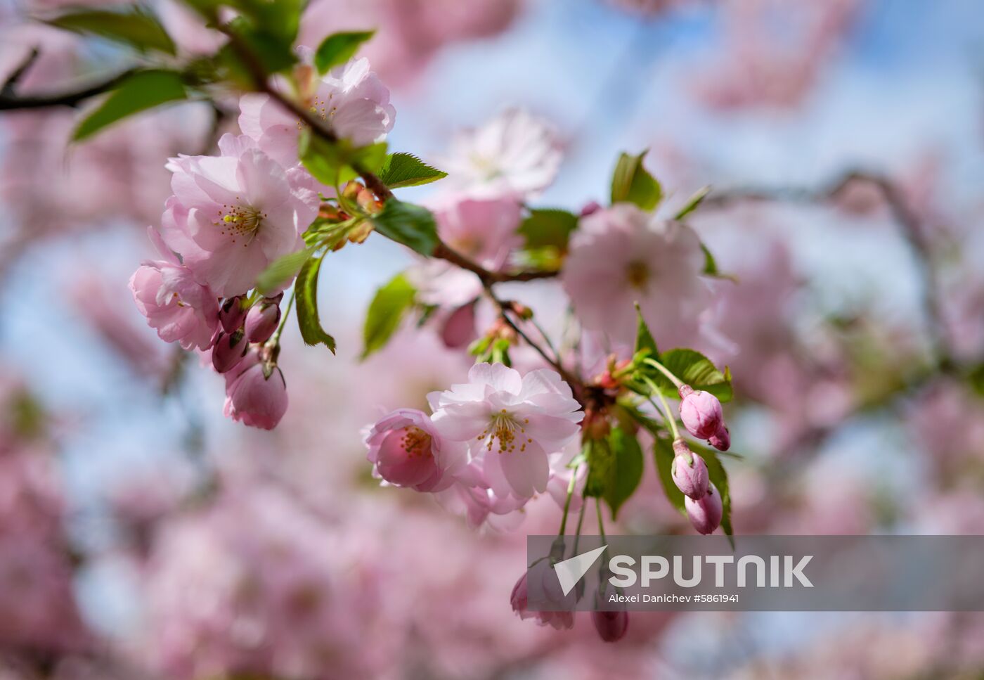 Russia Spring