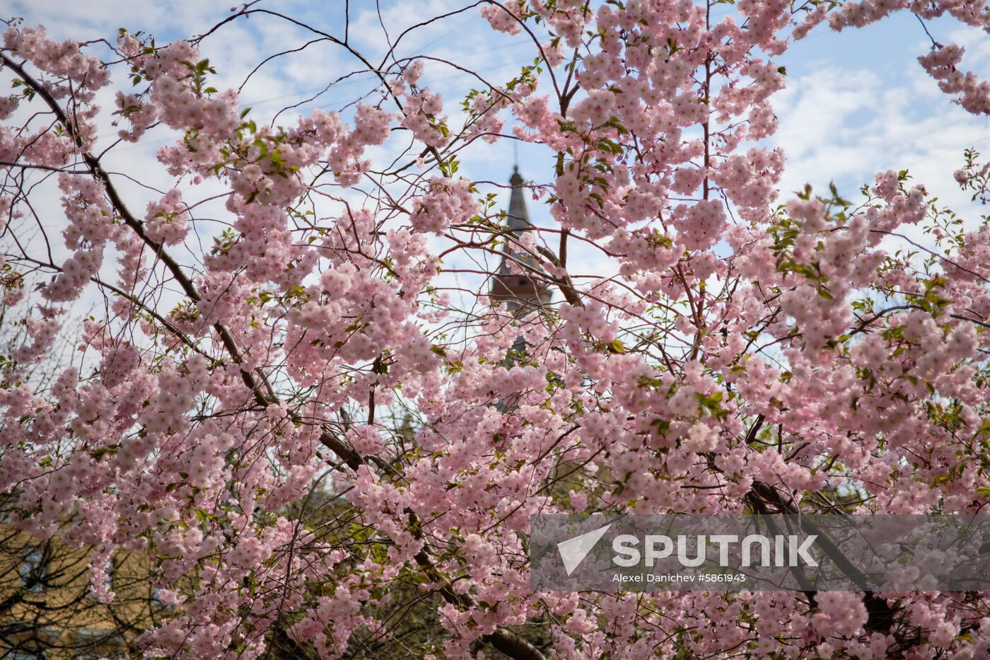 Russia Spring
