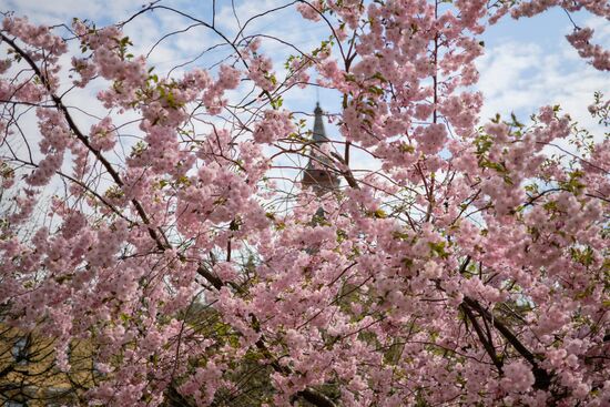 Russia Spring