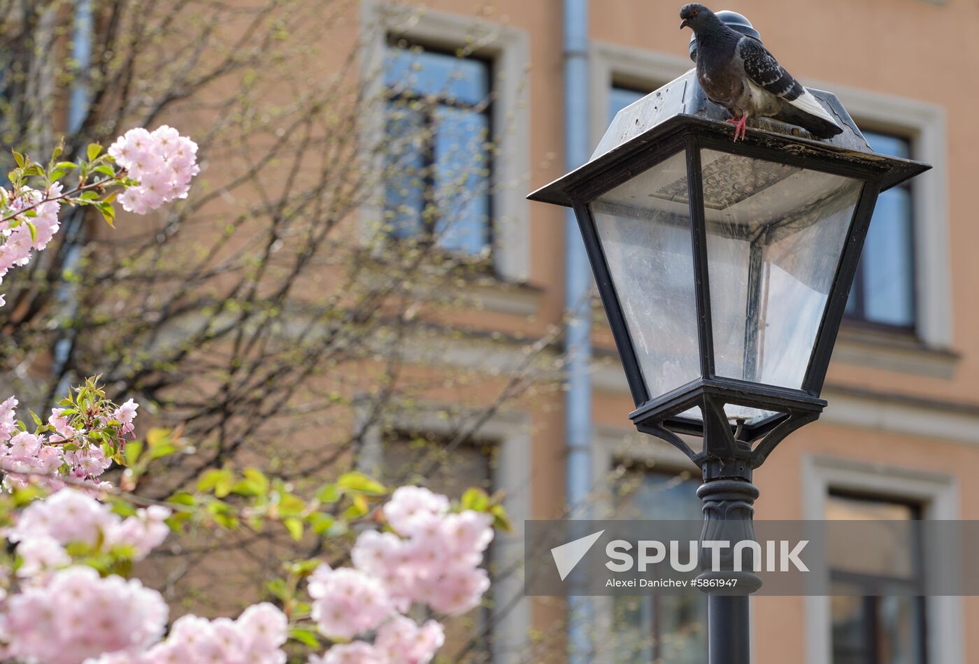 Russia Spring