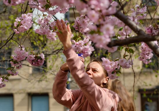 Russia Spring