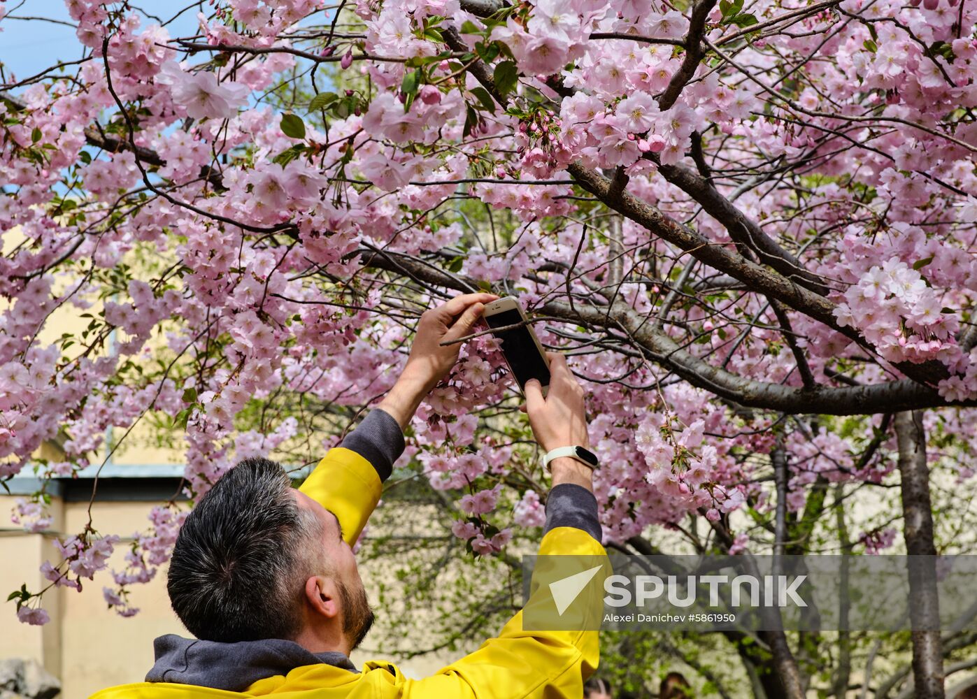 Russia Spring