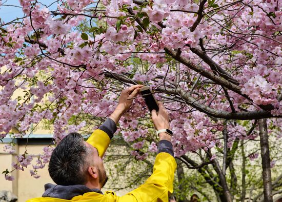 Russia Spring