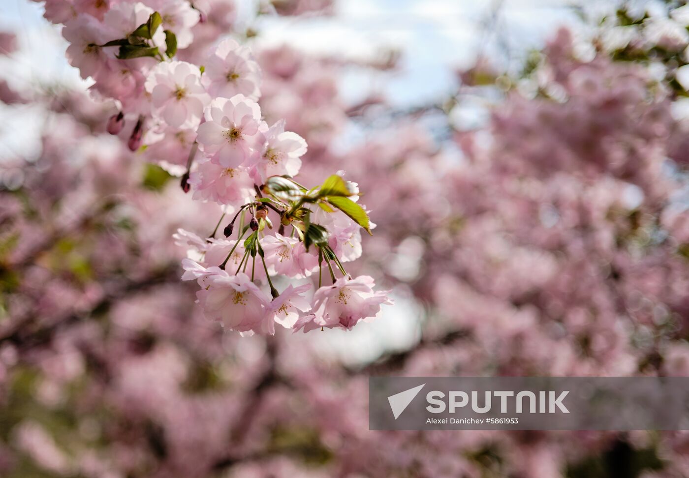 Russia Spring
