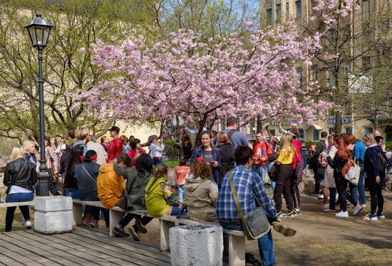 Russia Spring