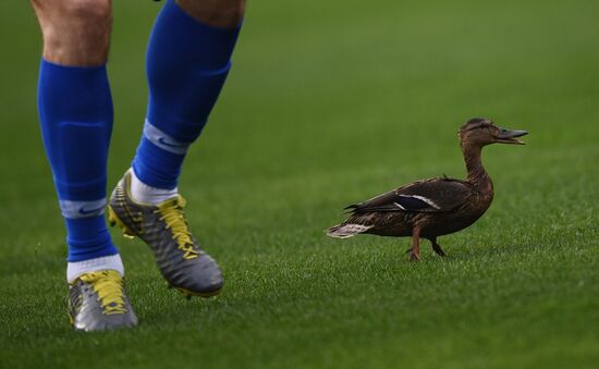 Russia Soccer Premier-League Dynamo - Akhmat