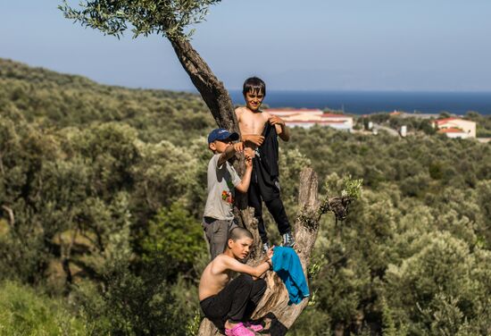 Greece Refugees