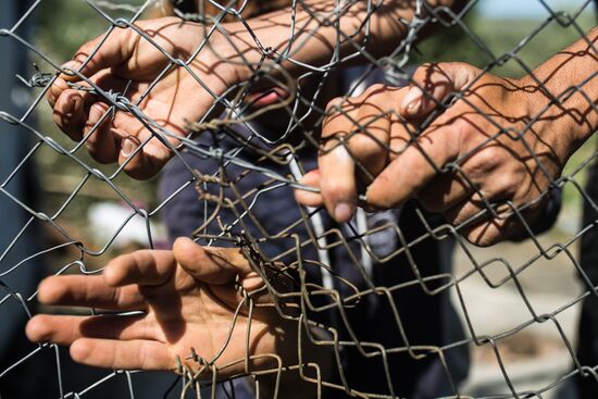 Greece Refugees