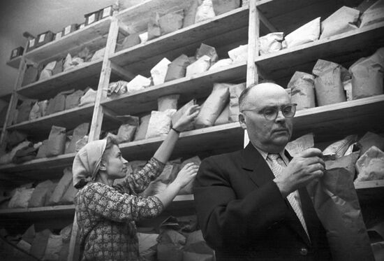 Soviet selectionist Vasily Kozubenko