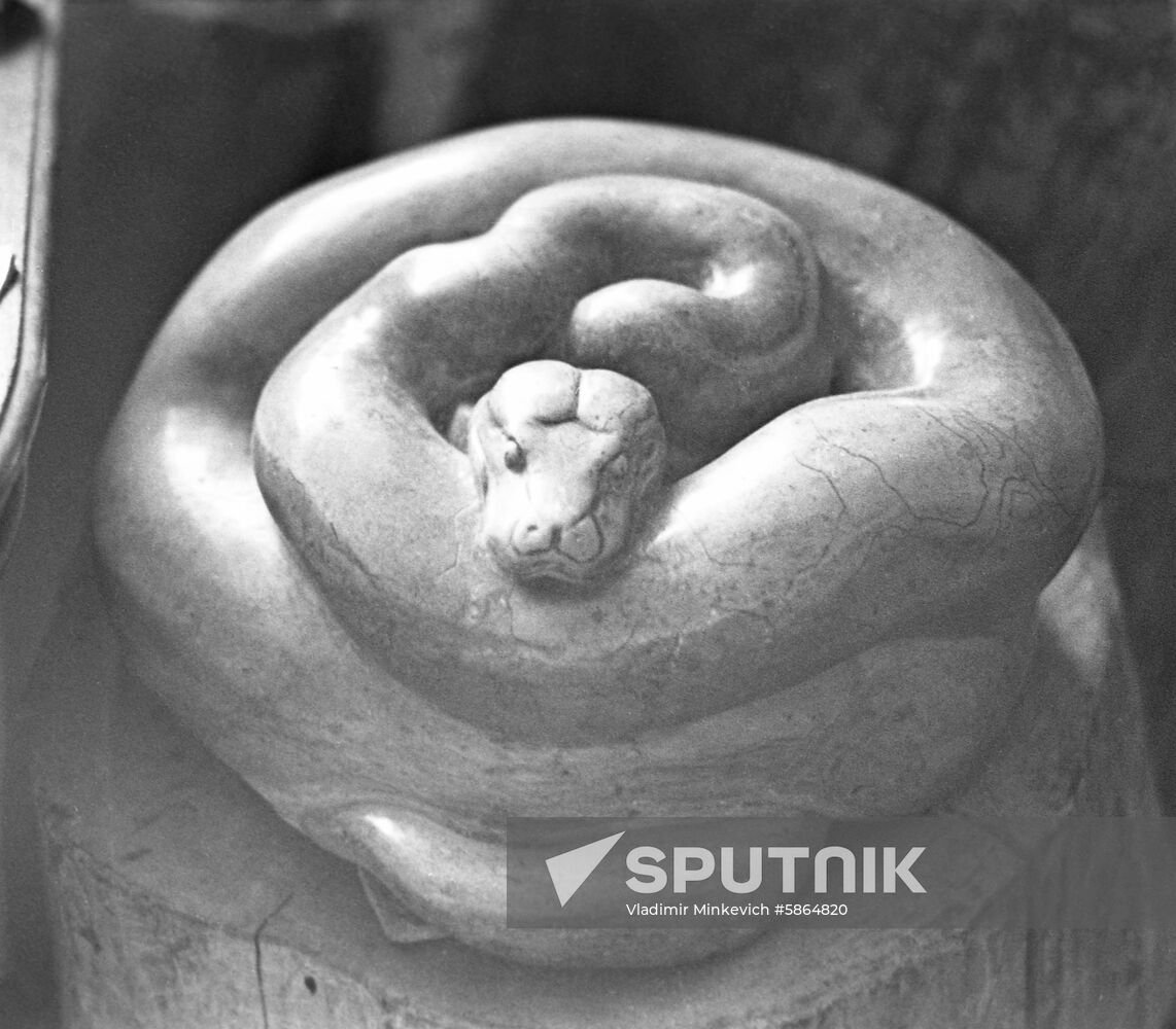 Boa Constrictor sculpture by Vasily Vatagin