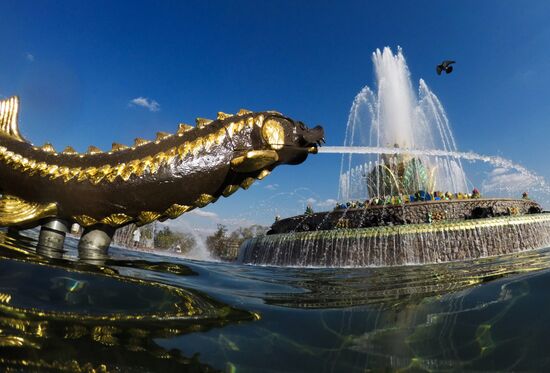 Russia Fountain Season