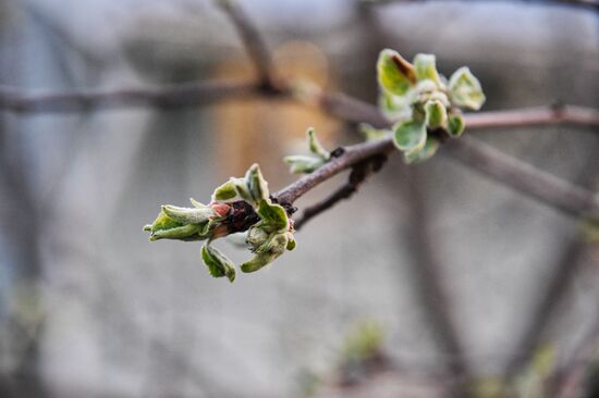 Russia Countryside Life