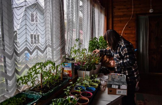 Russia Countryside Life