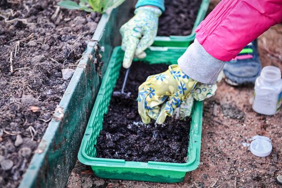 Russia Countryside Life