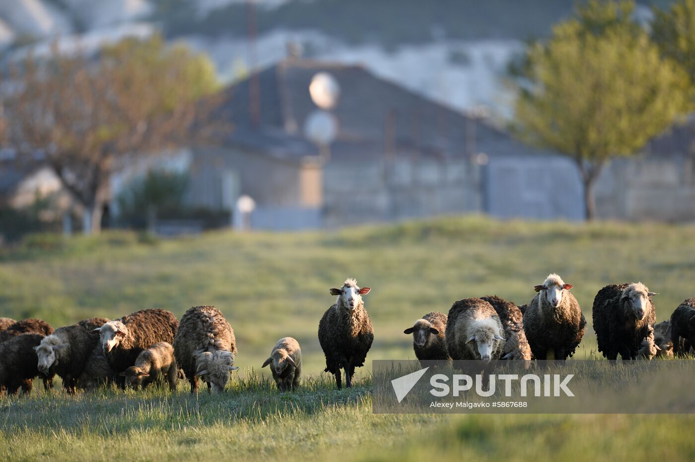 Russia Crimea Daily Life