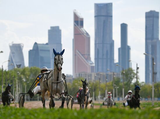 Russia Horse Race