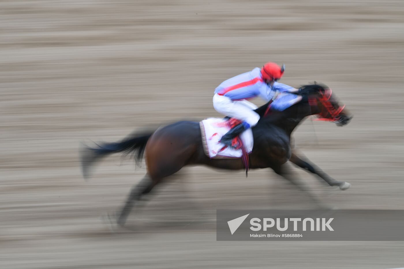 Russia Horse Race