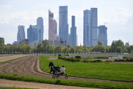Russia Horse Race