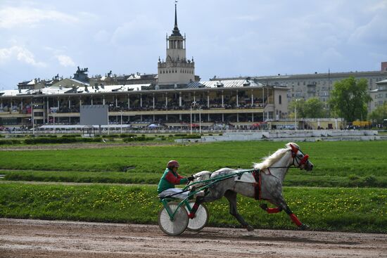 Russia Horse Race