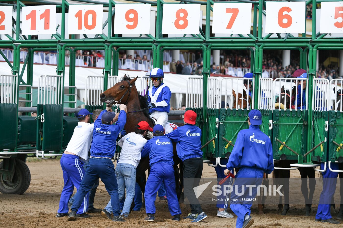 Russia Horse Race