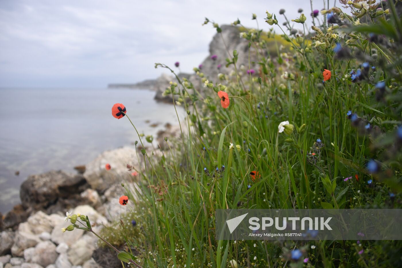 Russia Crimea Daily Life