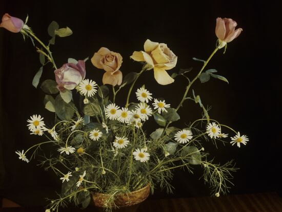 Ikebana